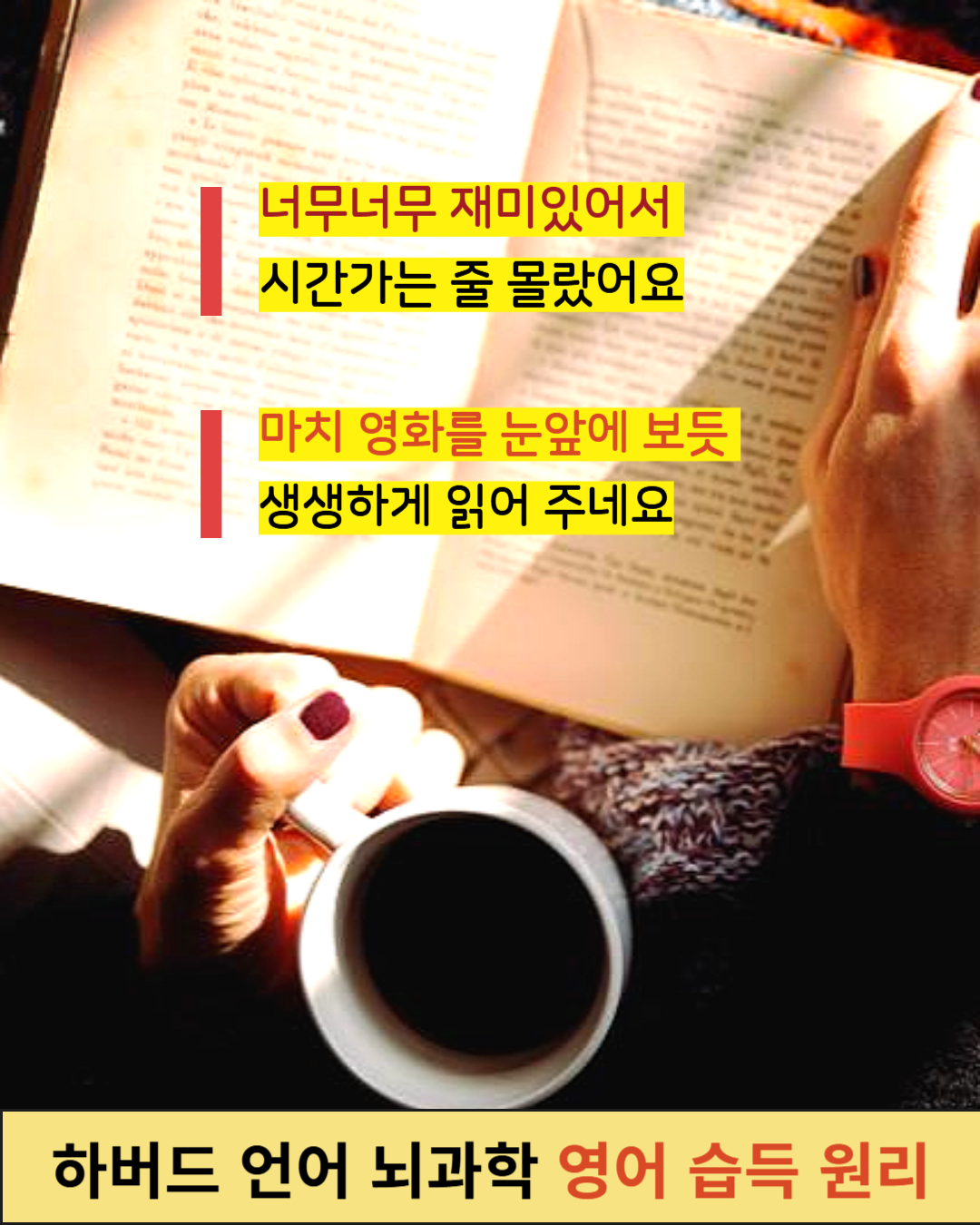 원서 읽기 장면 이미지